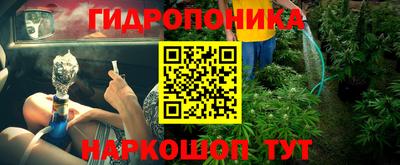 PSILOCYBIN Владимир