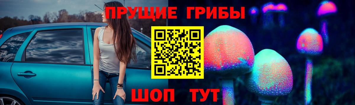Галлюциногенные грибы ЛСД Новоалександровск